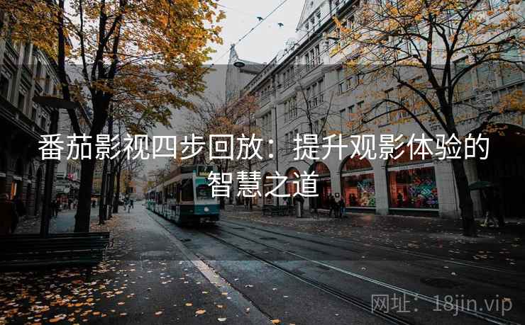番茄影视四步回放：提升观影体验的智慧之道