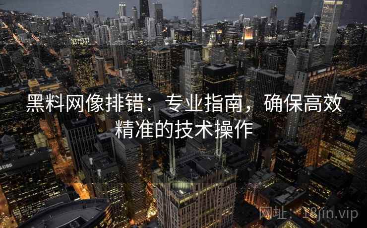 黑料网像排错：专业指南，确保高效精准的技术操作